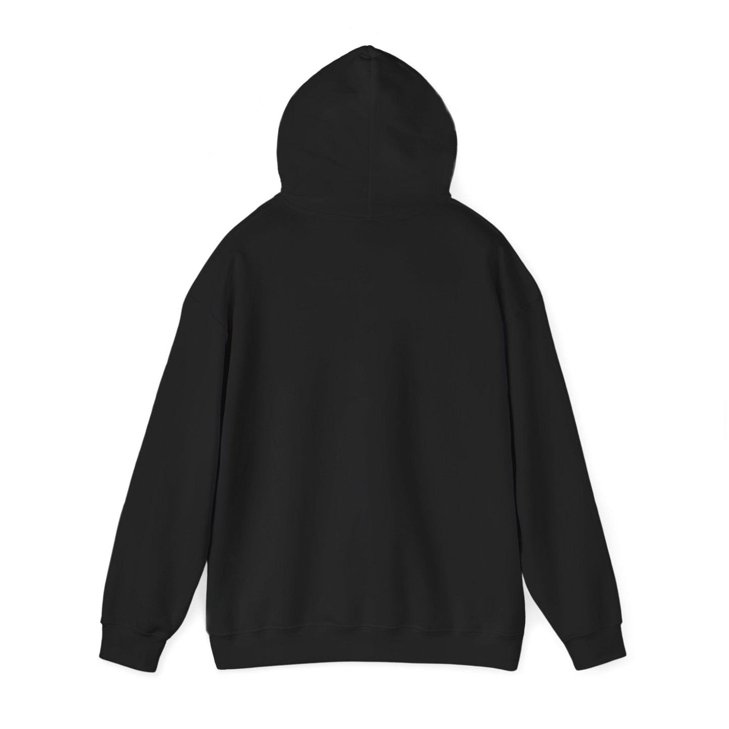 Racing Enthusiast Hooded Sweatshirt Hoodie Printify