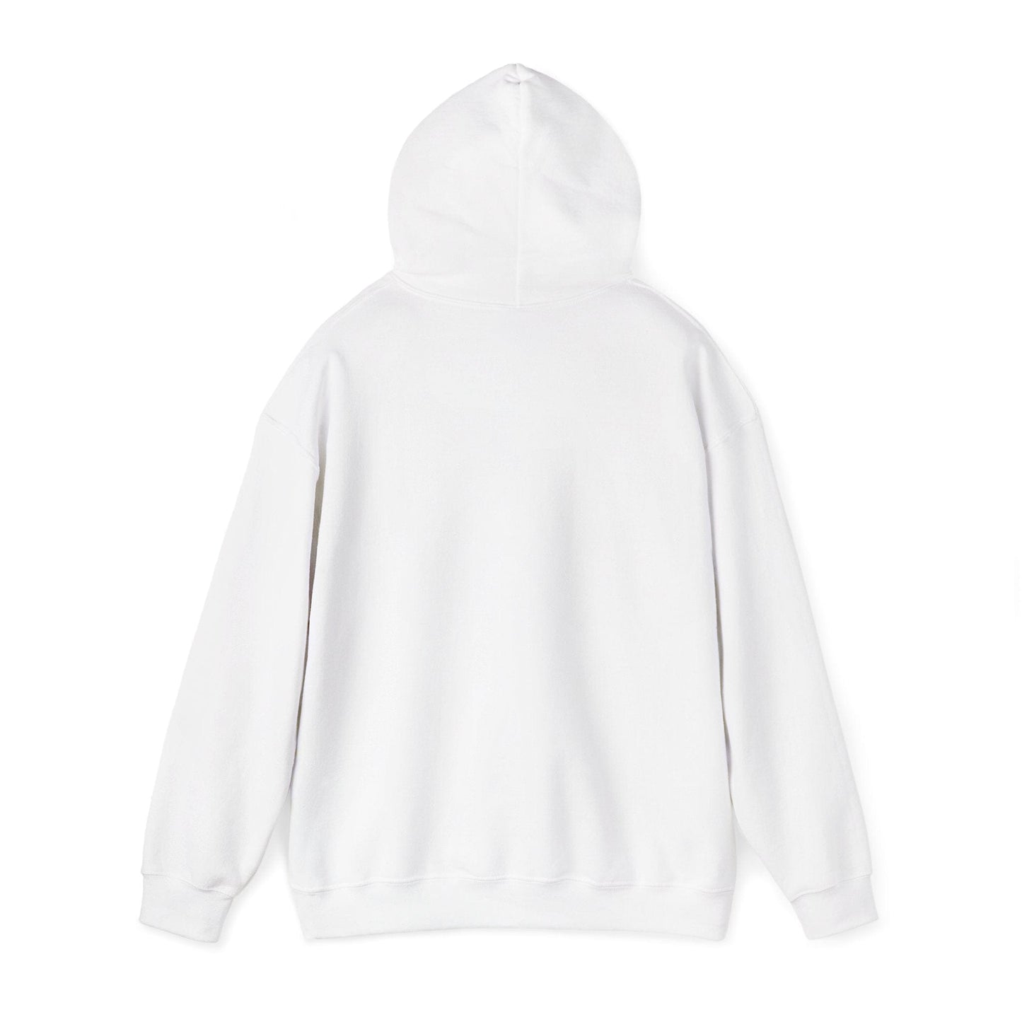 Racing Enthusiast Hooded Sweatshirt Hoodie Printify 