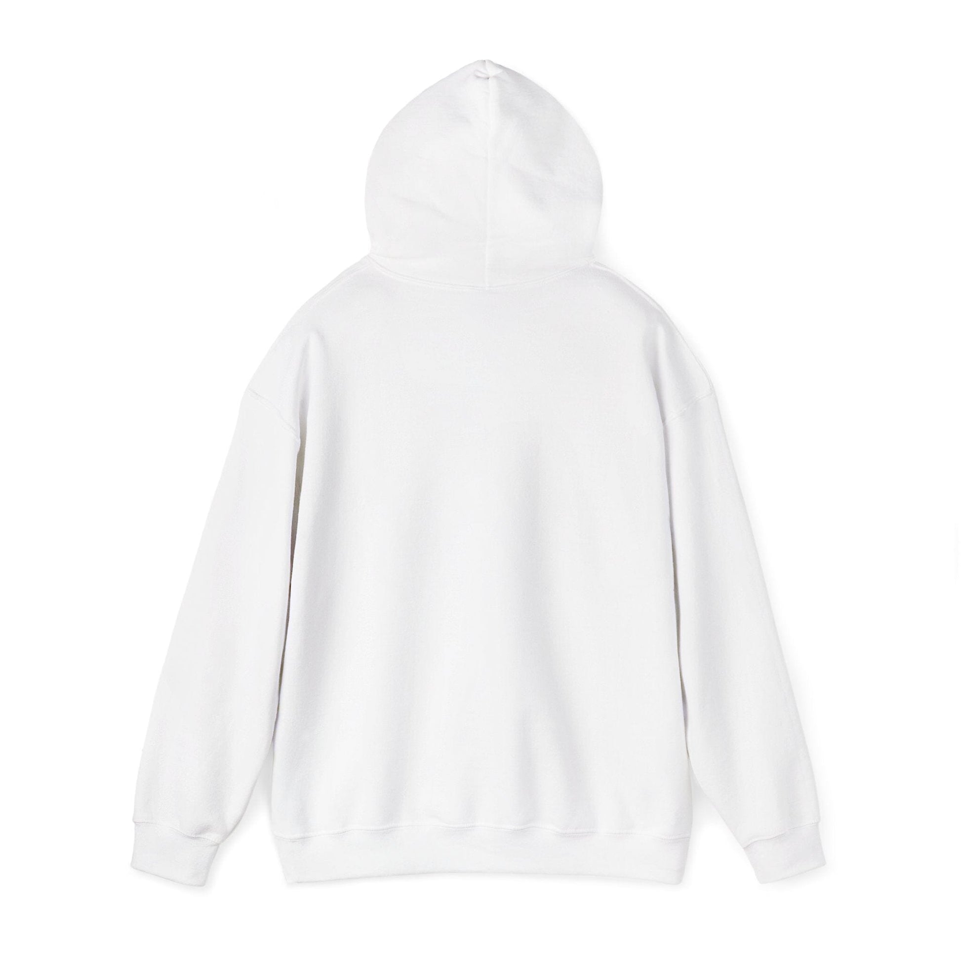 Racing Enthusiast Hooded Sweatshirt Hoodie Printify 